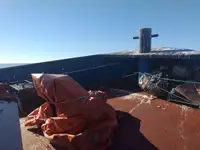 Schleppboot zu verkaufen