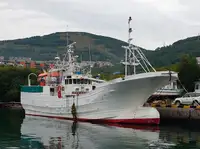 Trawler zu verkaufen