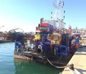 Bagger zu verkaufen