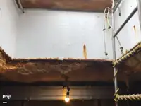 Trawler zu verkaufen