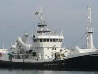 Trawler zu verkaufen