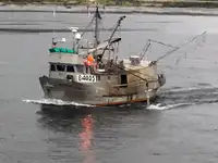 Longliner zu verkaufen