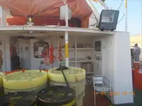 Crew-Boot zu verkaufen