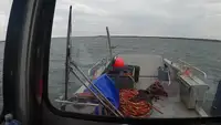 Landungsboot, Tank zu verkaufen