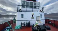 Schleppboot zu verkaufen