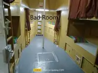 Lotsenboot zu verkaufen
