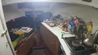 Kutter zu verkaufen