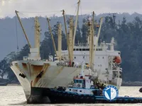Kühlschiff zu verkaufen