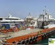 Windpark-Service-Schiff zu verkaufen