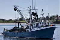 Purse-Seiner zu verkaufen