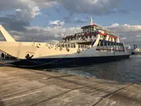 Ro-Ro ship zu verkaufen