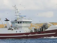 Trawler zu verkaufen