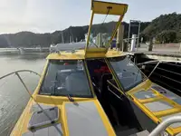 Kreuzfahrtschiff zu verkaufen