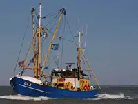 Trawler zu verkaufen