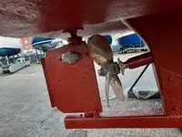 Kutter zu verkaufen