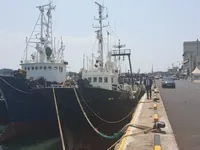 Trawler zu verkaufen