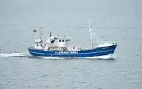 Trawler zu verkaufen