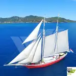 Kreuzfahrtschiff zu verkaufen
