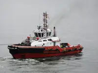 Schleppboot zu verkaufen