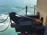 Bagger zu verkaufen