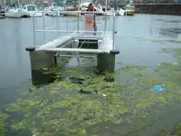 Containerschiff zu verkaufen