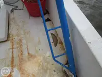 Trawler zu verkaufen