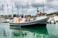 Trawler zu verkaufen