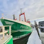 Patrouillenboot zu verkaufen