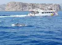 Passagierschiff zu verkaufen