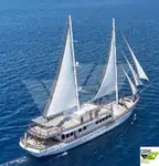 Kreuzfahrtschiff zu verkaufen