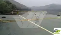 Barges zu verkaufen