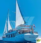 Kreuzfahrtschiff zu verkaufen