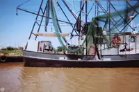Trawler zu verkaufen