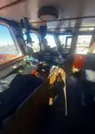Schleppboot zu verkaufen