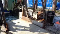 Trawler zu verkaufen