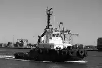 Schleppboot zu verkaufen