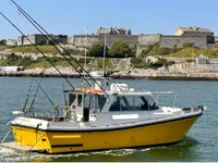 Lotsenboot zu verkaufen