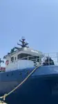 Trawler zu verkaufen