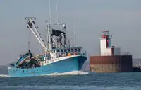 Purse-Seiner zu verkaufen