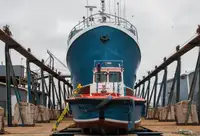 Purse-Seiner zu verkaufen