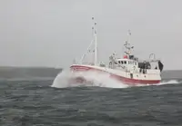 Trawler zu verkaufen