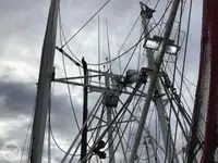 Trawler zu verkaufen