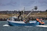 Purse-Seiner zu verkaufen