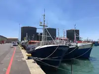 Longliner zu verkaufen