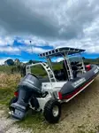 Amphibisch zu verkaufen