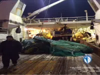 Trawler zu verkaufen