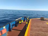 Schleppboot zu verkaufen