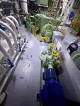 Schleppboot zu verkaufen
