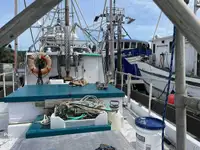 Purse-Seiner zu verkaufen