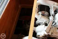 Fischverarbeitungsboot zu verkaufen
